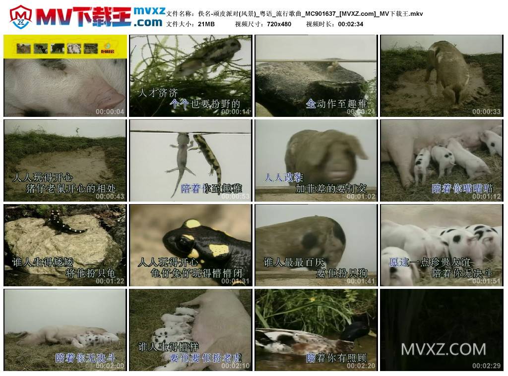 佚名-顽皮派对(风景)_粤语_流行歌曲_MC901637